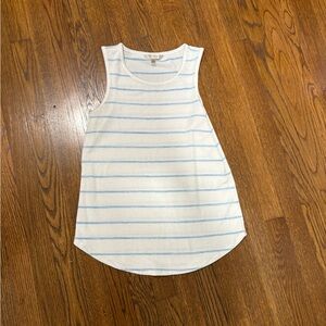 Banana Republic Knit White and Blue Striped Tank Top, Small
